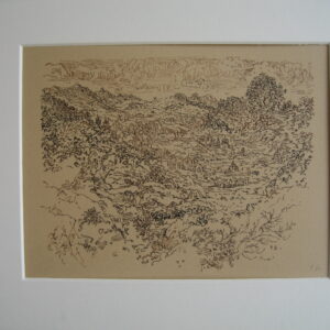 128. Landschap met verte