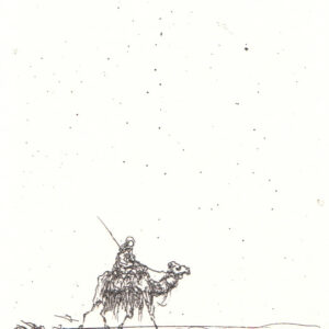 185. Kameelruiter in draf