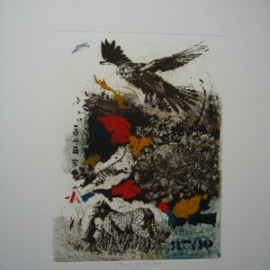 217. Torenvalk (wildlife 9)