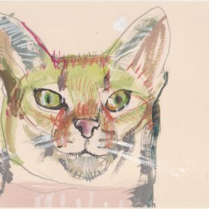 Tekening